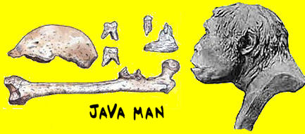Java_man