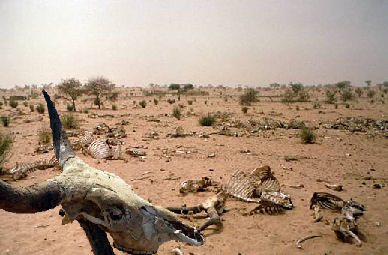 http://www.soulwinners.com.au/images/drought.jpg?996